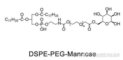 磷脂 聚乙二醇 甘露糖 Dspe Peg Mannose可以作为药物的载体，通过葡萄糖受体介导的细胞摄取实现对肿瘤细胞的靶向输送。 知乎