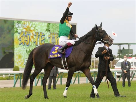 【菊花賞】65年ぶりに春クラシック連対馬不在の大混戦 東西トライアル勝ちの杉山晴厩舎2頭に注目 日刊ゲンダイ競馬