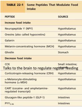 Endocrine Control Of Metabolism 4 Flashcards Quizlet