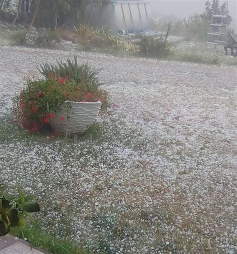 Grandine La Conta Dei Danni In Agricoltura Ovadaonline