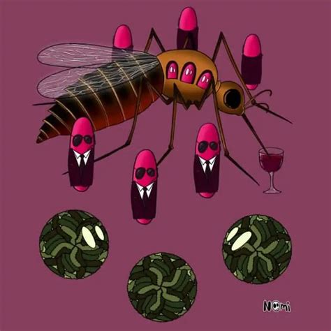 Wolbachia bacteria in mosquitos protect us from nasty viruses