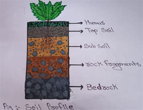 Soil Layers Diagram