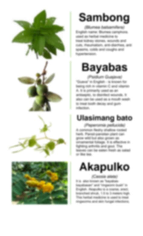 Halamang Gamot Sa Pilipinas