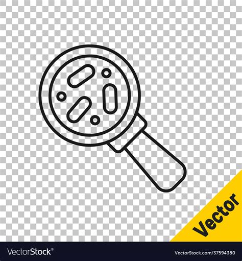 Black Line Microorganisms Under Magnifier Icon Vector Image