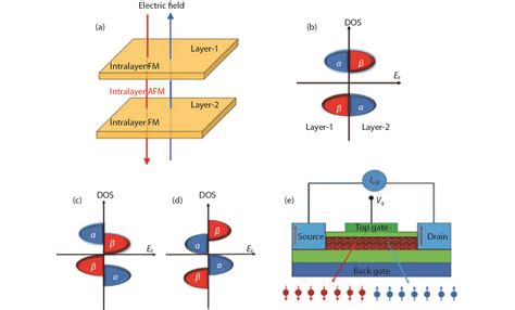 A Novel Spin FET Based On 2D Antiferromagnet