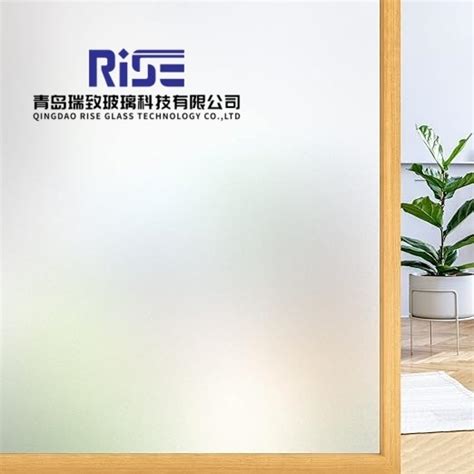 Tempered Acid Etched Frosted Sandblasted Shower Room Door Glass Clear