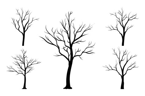 Tree Without Leaves Silhouette