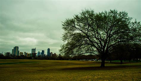 90+ Zilker Tree Stock Photos, Pictures & Royalty-Free Images - iStock