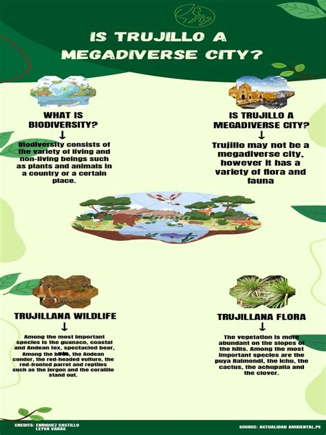 Infografía Sobre Ecología Cuidado Del Medio Ambiente Ilustrado Verde Pdf