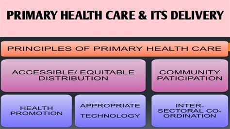 Nsg Fon 11 Primary Health Care And Its Delivery Role Of A Nurse Youtube