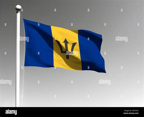 Barbados National Flag Isolated Waving On Gray Background Stock Photo