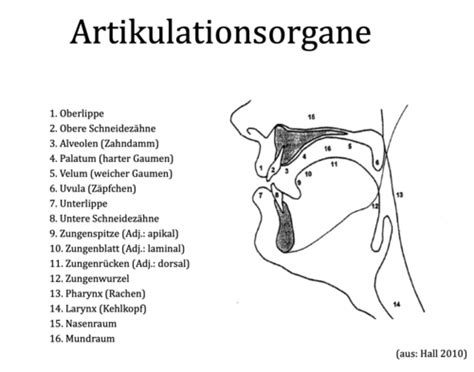 Sprawi Phonetik Karteikarten Quizlet