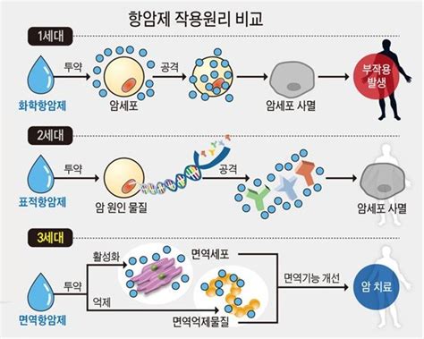 항암치료 부작용을 극복하기 위한 면역항암제의 횡보