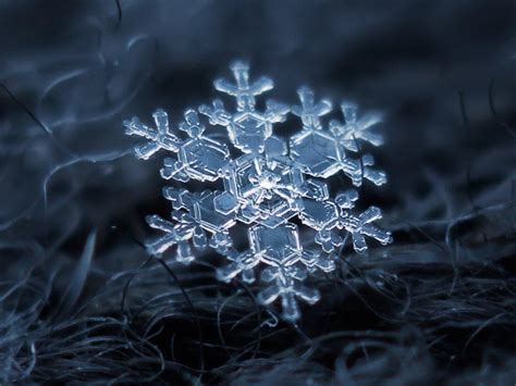 Lindas Fotos De Flocos De Neve Feitas Equipamento Improvisado