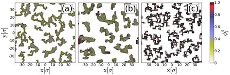 Color online Simulation snapshots at ρ 0 3 and T 0 05 for a