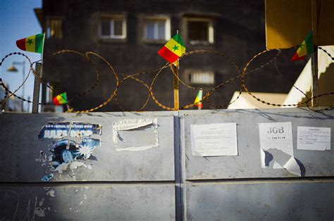 Adam Hinton | Senegal