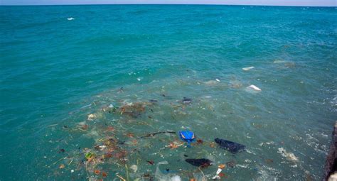 Un millón de toneladas de aditivos plásticos contaminan el mar cada año