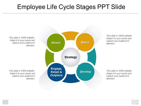 Employee Life Cycle Stages Ppt Slide Templates Powerpoint