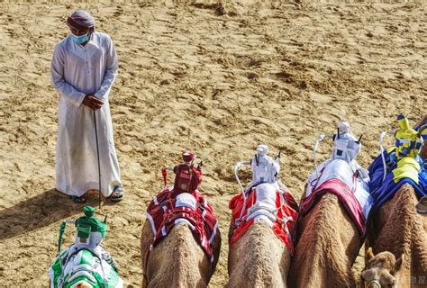 Camel Festival at Al Marmoom – 40thousandkm