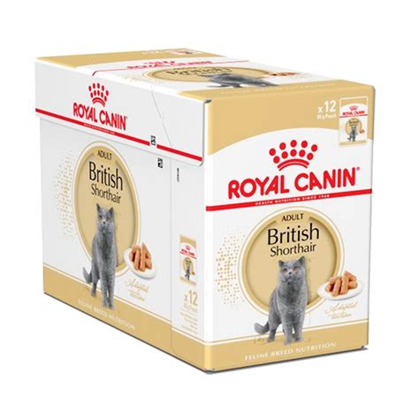 Jual Royal Canin British Shorthair Pouch Dus X Gr Pack Shopee