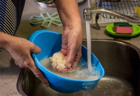 Abono casero revitalizante Úsalo en tus plantas y crecerán más rápido