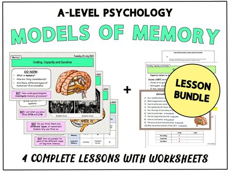 Models Of Memory Lesson Bundle A Level Psychology Memory Topic