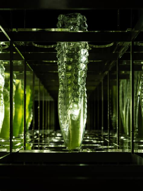 Bit Bio Exhibition Shows How Algae Can Be Used As Air Purifiers And