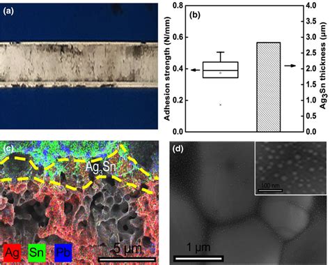 Characterization For The Ag Electrode With 1 6 Wt Of 2 Glass Frit Download Scientific Diagram