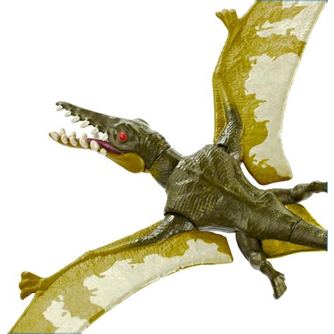 Mattel Jurassic World Basic Dinosaur Figures Rhamphorhynchus Fpf11 Gcr44 Toys Shopgr