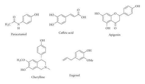 Bioactive Compounds With Phenol Moiety Download Scientific Diagram