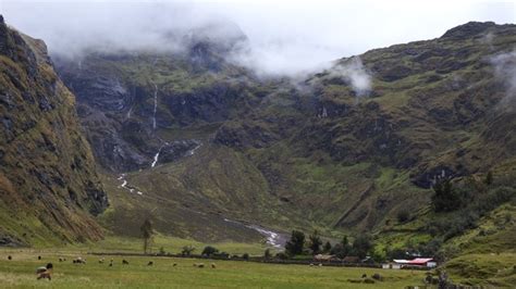 Tres Nuevas Reas De Conservaci N Privada Son Reconocidas En Cajamarca