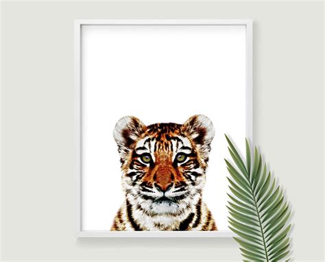 Tiger Art Print. Downloadable Prints of Wildlife Photography - Etsy