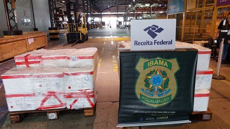 Ibama E Receita Federal Apreendem Quase Meia Tonelada De Pescado