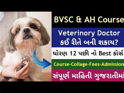 Bvsc Course Details In Gujarati Bvsc Veterinary Course Bvsc