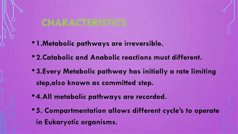 Metabolic Pathways Analysis Ppt