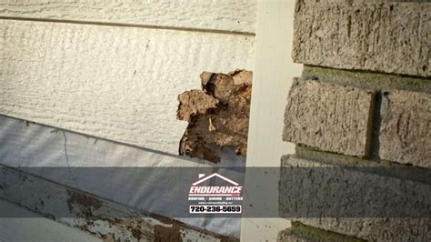 Top 4 Signs You Need Siding Repair