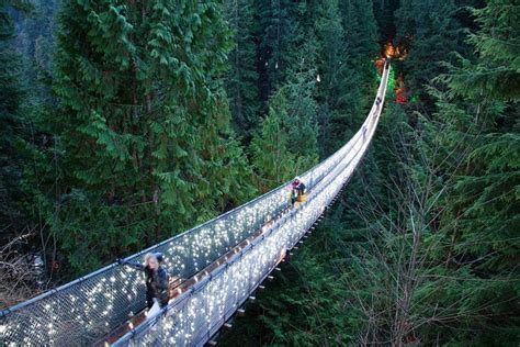 Vancouver City And Capilano Suspension Bridge Canyon Lights Tour: Triphobo