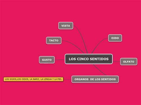 Los Cinco Sentidos Mind Map The Best Porn Website