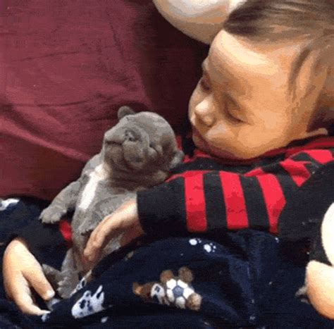 Baby And Dog Sleeping Together Cute Animals Puppies Sleeping Dogs