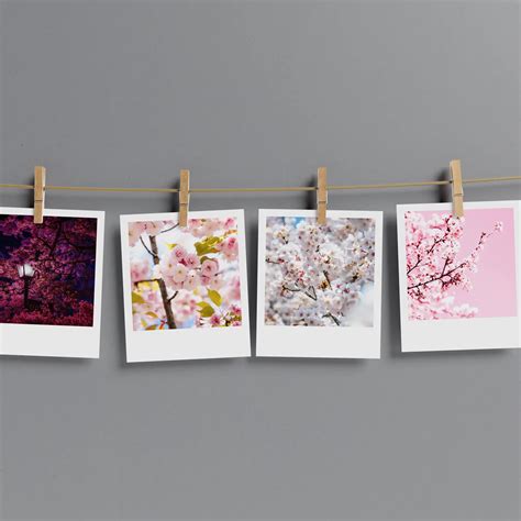 Cherry Blossom Polaroids Set Of 13 PrintBlow Vintage Polaroids And