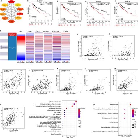 Hub Gene Analysis A The Interaction Network Of The Top 10 Hub Genes