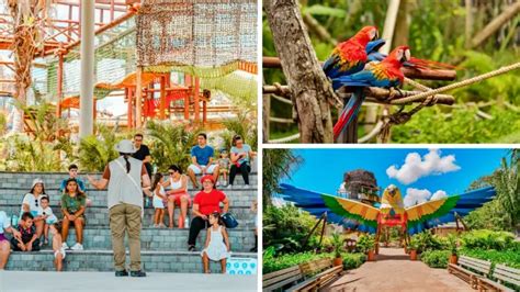 O Que Fazer Com Crianças Em Fortaleza - O que fazer em Fortaleza com crianças: 11 melhores passeios