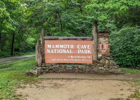 An Extensive Travel Guide to Visiting Mammoth Cave National Park - This ...