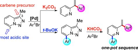 Palladiumcatalyzed Divergent Arylation With Triazolopyridines Onepot