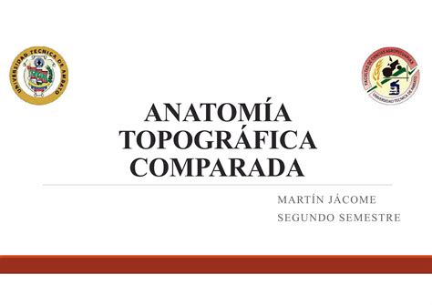 Anatomia Topografica Ppt