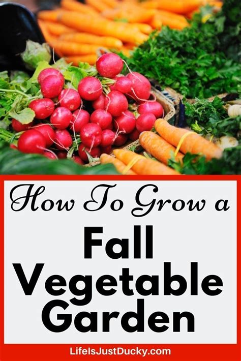 Plan Your Fall Garden Tips For A Bountiful Harvest