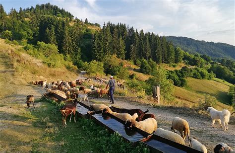 Rhodope Mountains, Bulgaria. Hiking & Trekking Tours. Guided & Self-guided.