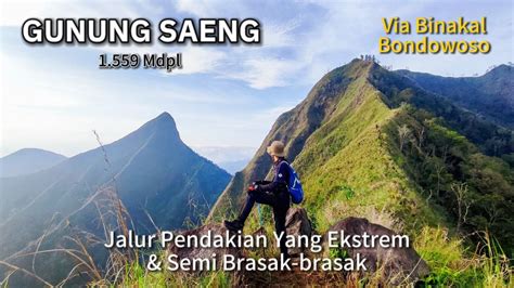 Pendakian Gunung Saeng Bondowoso Ekstremnya Jalur Bikin Pendakian