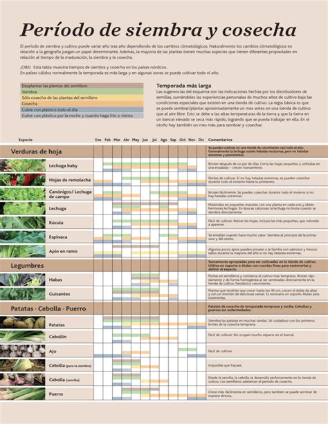 Descubre El Tiempo Exacto Entre Siembra Y Cosecha De Este Cultivo