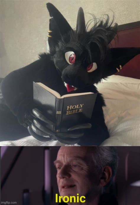 Lmfao Furry With A Bible Funny Stole It From Rfurryirl Imgflip